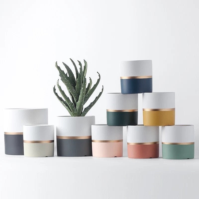white and gold succulent pot Minimalist Planter with Drainage | Planter Pot | Succulent Planter