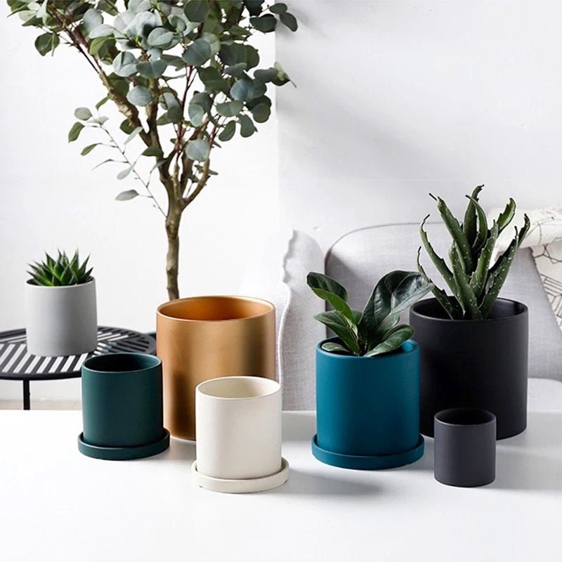indoor ceramic plant pots with drainage Modern Plant Pot with Drainage | Minimalist | Succulent Pot