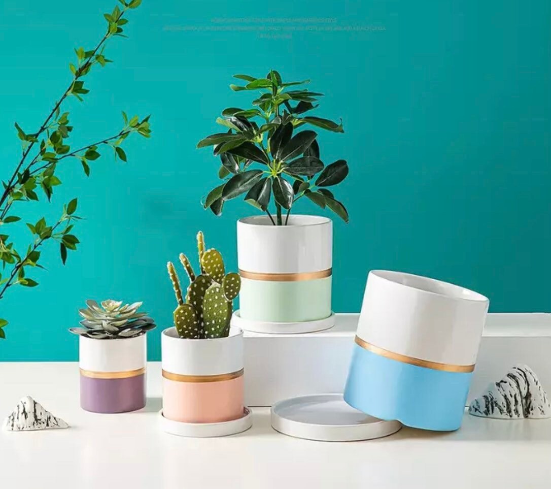 Unique Planter with Drainage | Planter Pot | Succulent Planter | Planter with Saucer | Drip Tray | 5 Colors | 6 Inch Planter