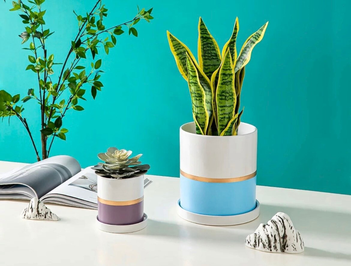 Unique Planter with Drainage | Planter Pot | Succulent Planter | Planter with Saucer | Drip Tray | 5 Colors | 6 Inch Planter