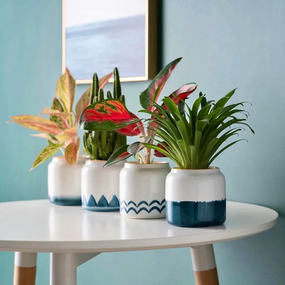 small ceramic plant pots indoor Marble Blue Plant Pot | Patterned Plant Pot | Planter Pots | Small Plant Pots | Indoor Planter | White and Blue Planter | 4 Inch