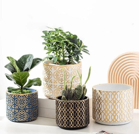 Planter Pot with Drainage | Damask Succulent Pot | Plant Pots | Large Indoor Planter | Drainage Tray | Blue | Gold | White | 6 inch