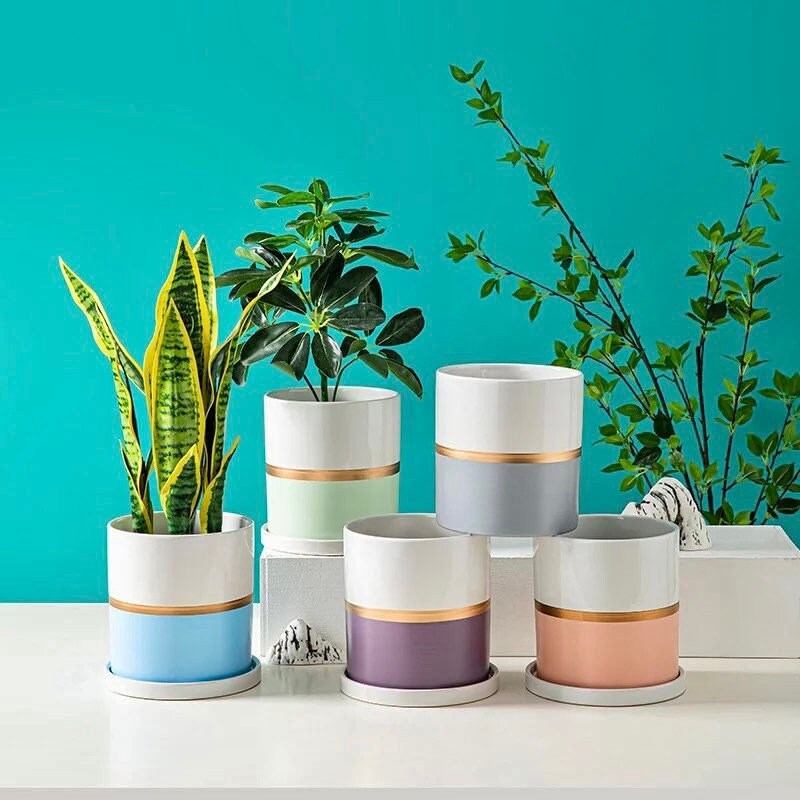 Unique Planter with Drainage | Planter Pot | Succulent Planter | Planter with Saucer | Drip Tray | 5 Colors | 6 Inch Planter