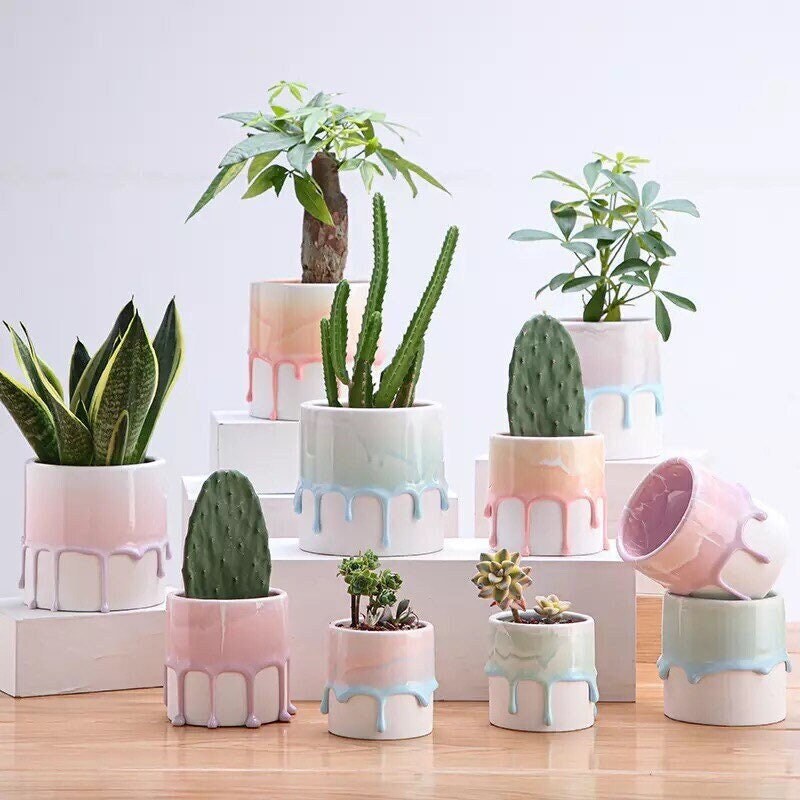 Cake Planter Pot with Drainage, Unique Plant Pots, Gradient Plant Pots, Succulent Planter, Plant Pots with Tray, 4 inch, White, Blue, Green